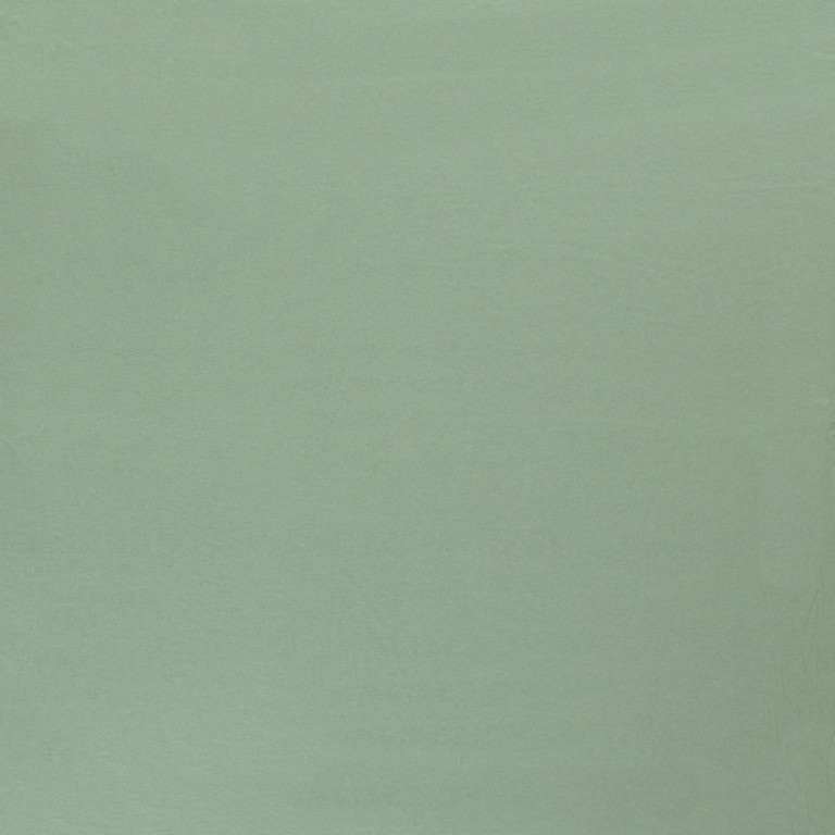 Jersey Viscose Menthe