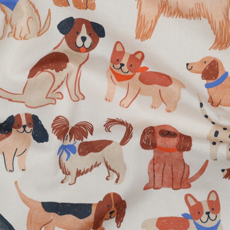 popeline coton Jalma