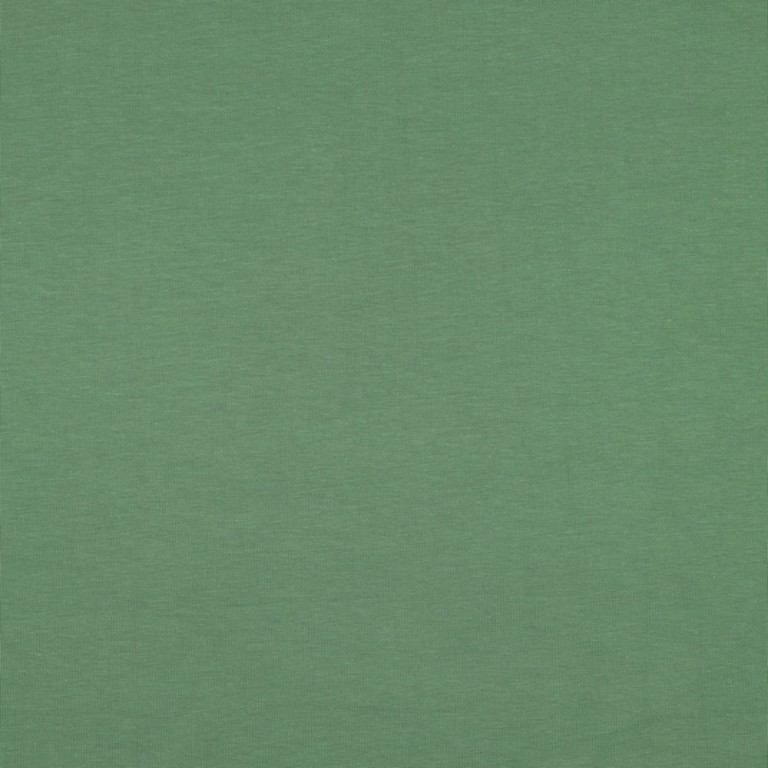 Jersey coton uni Vert