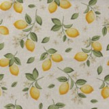 Toile de coton Citrus