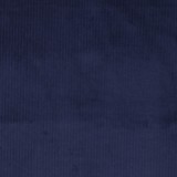 velours côtelé marine