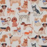 popeline coton Jalma