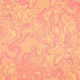 Popeline de coton Lily