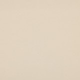 Jersey coton uni Naturel